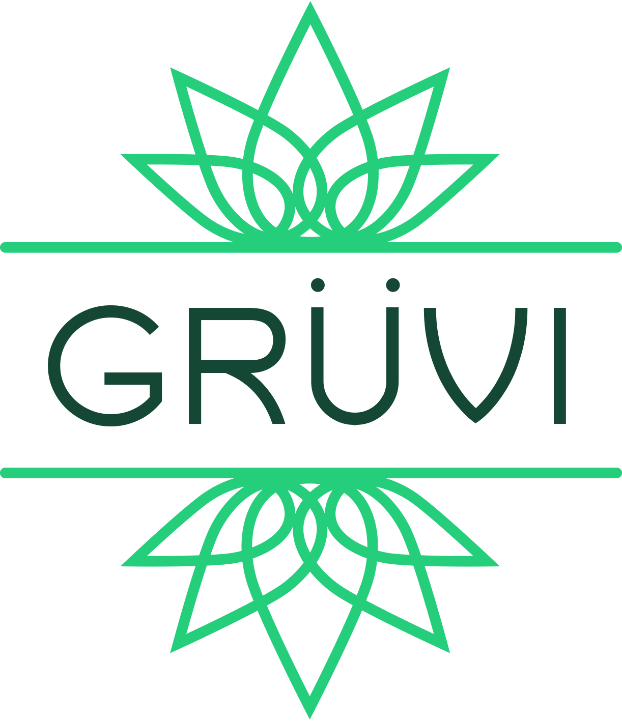 Gruvi